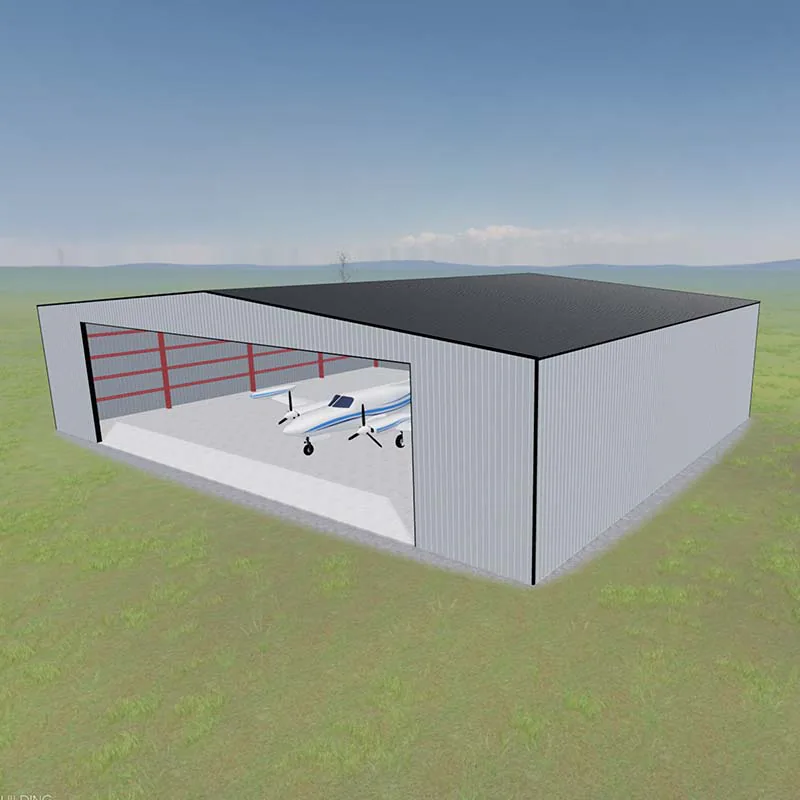 3D design render of a 100x80x22 foot private aircraft hangar